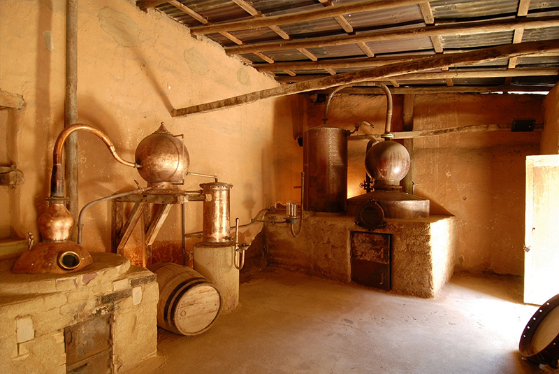 destilería de Pisco Mistral, perteneciente a la Compañía Pisquera de Chile