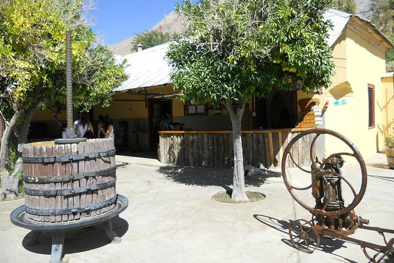 pisquería artesanal Los Nichos