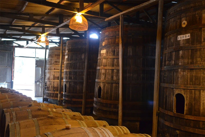 Pisco Chañaral de Carén